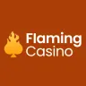 Flaming logo